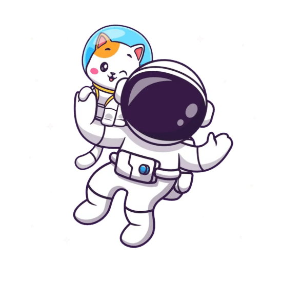 cheap organic traffic