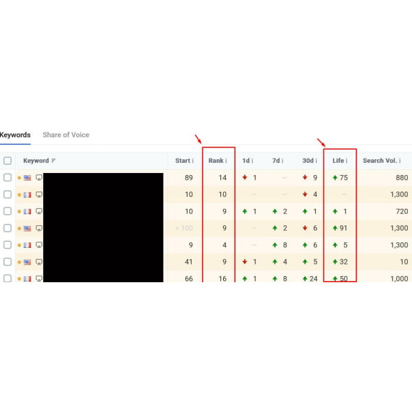 seo optimization result 1