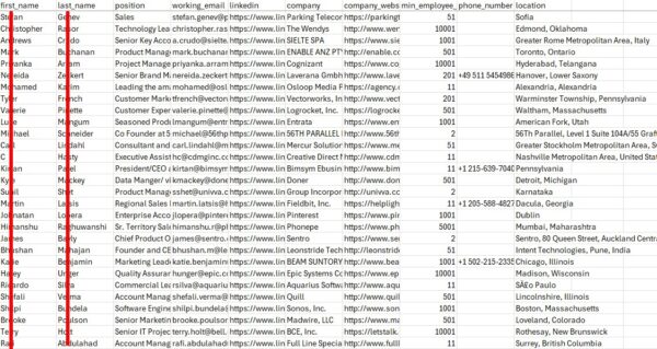 emaill marketing leads report 1