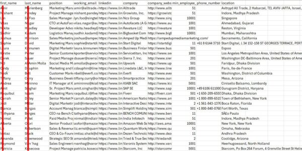 emaill marketing leads report 2